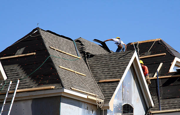 Best Roof Moss and Algae Removal  in Rock Hill, MO